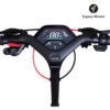 Segway P100SE Monopattino Elettrico